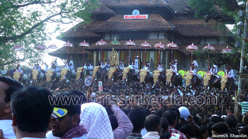 thrissur-pooram-2011- (89)